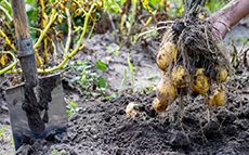土壤肥料养分检测仪是怎么测出土壤养分的？